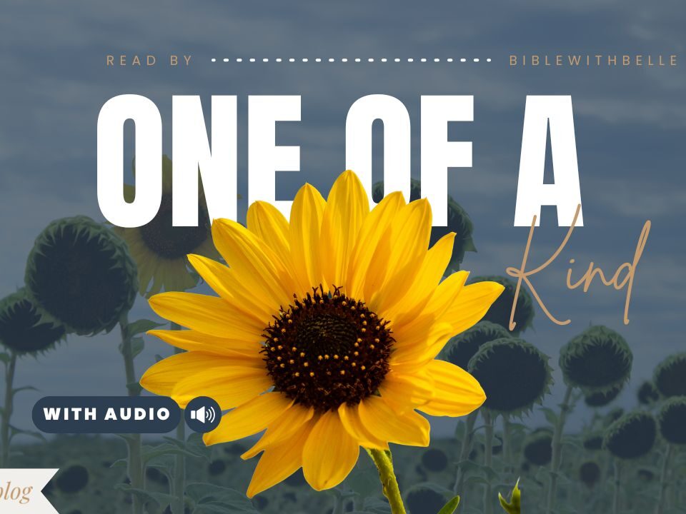 Bible Verses About Uniqueness