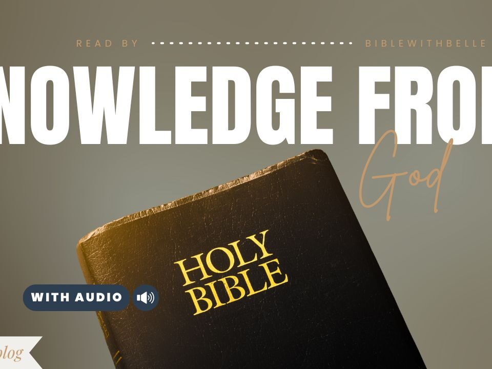 Bible Verses about Knowledge
