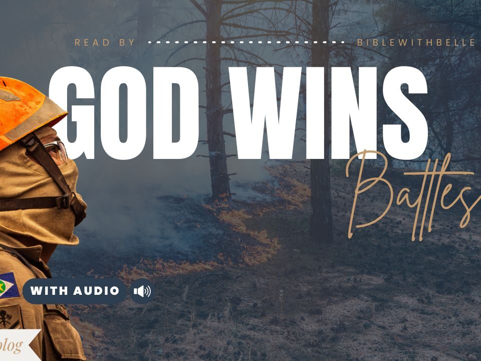 Bible Verses About War