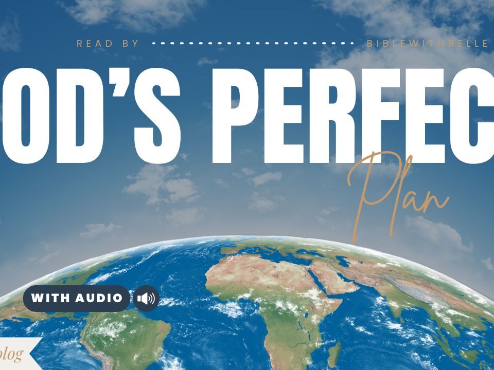 Bible Verses About God’s Plan