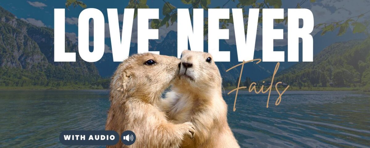 Bible Verses With Love In Them