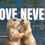 Bible Verses With Love In Them