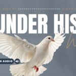 Bible Verses With Wings