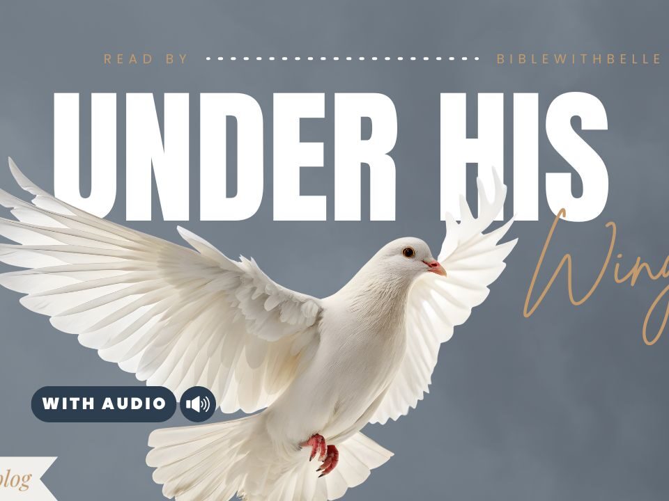 Bible Verses With Wings