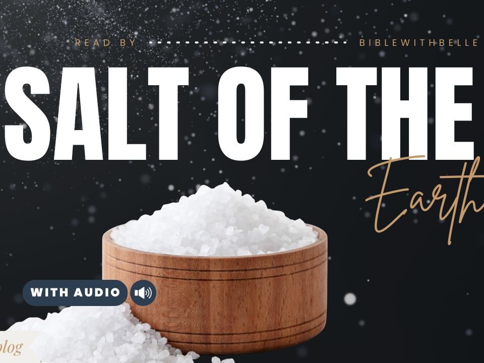 Bible Verses With Salt