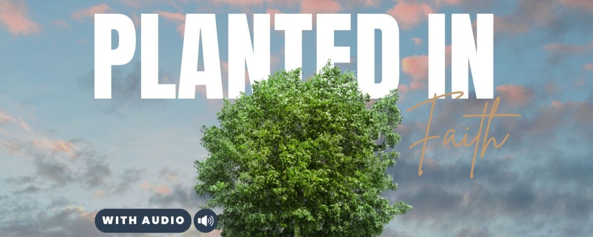 Bible Verses With Trees