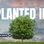 Bible Verses With Trees