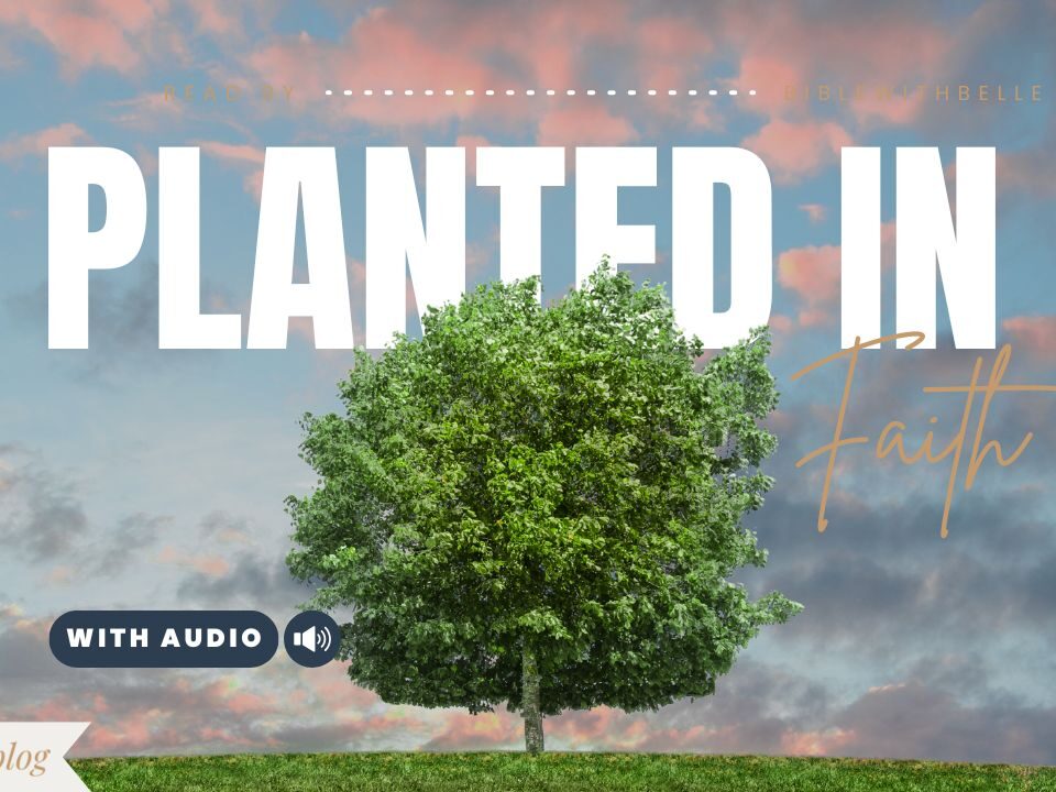 Bible Verses With Trees