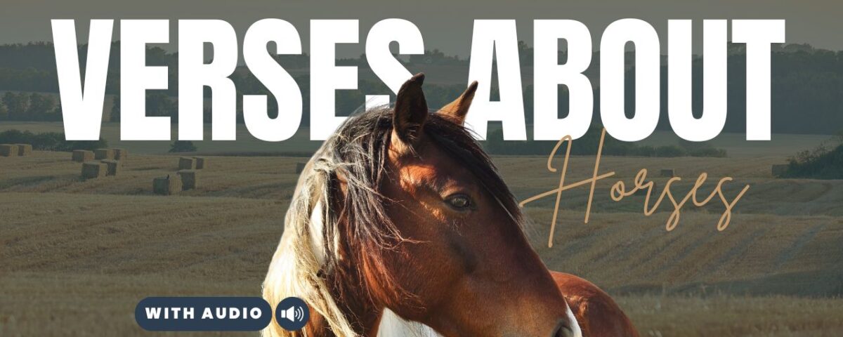 Bible Verses With Horses