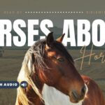 Bible Verses With Horses