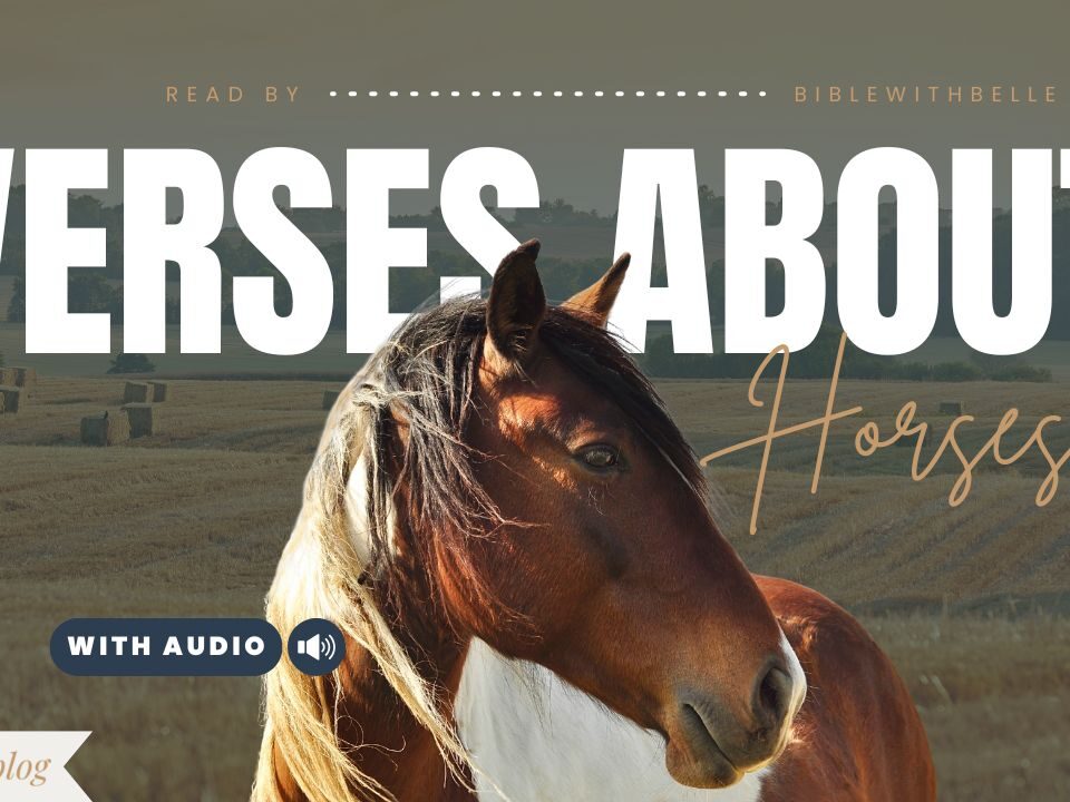 Bible Verses With Horses