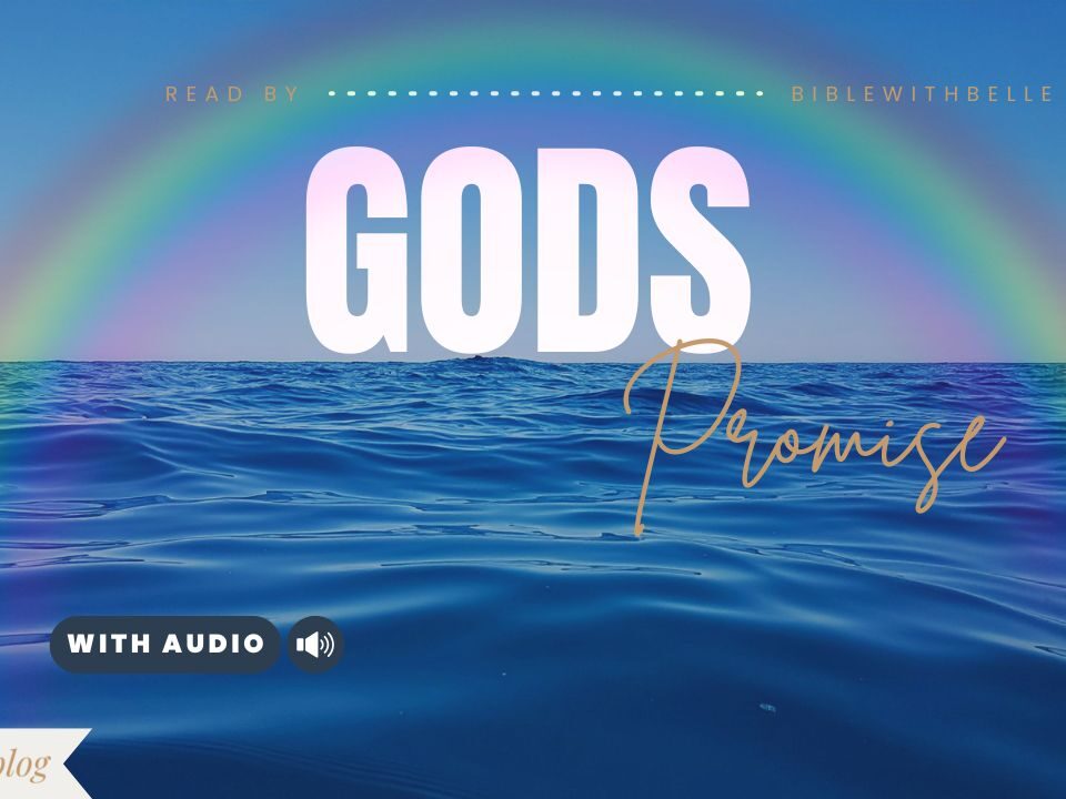 Bible Verses With Rainbow