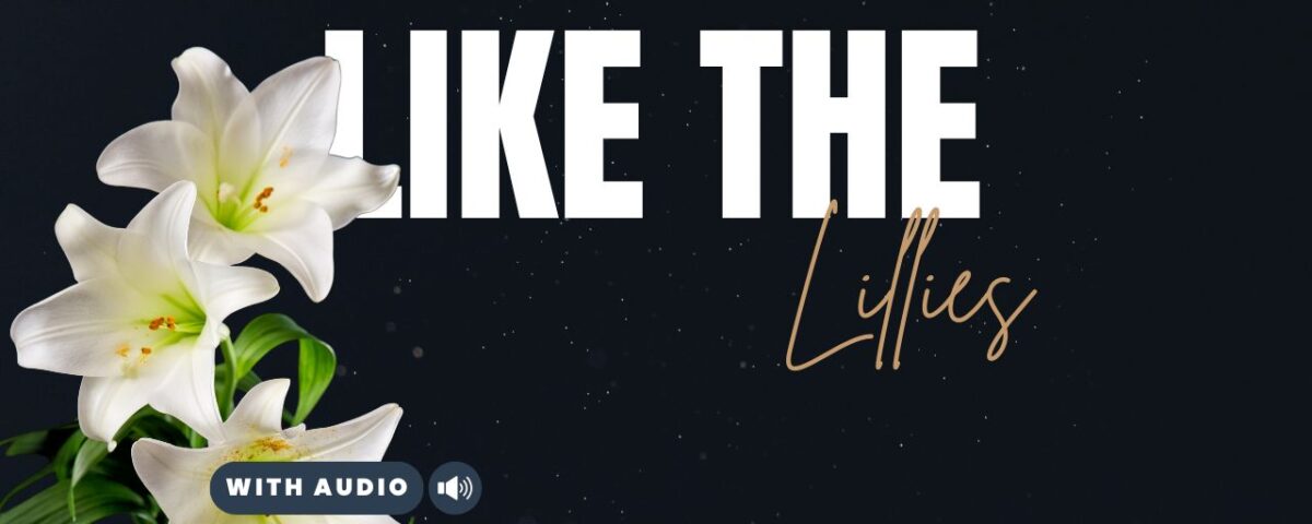 Bible Verses With Flowers