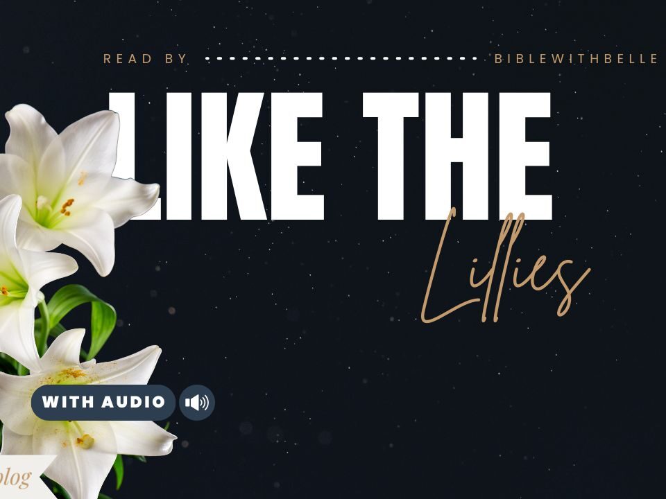 Bible Verses With Flowers