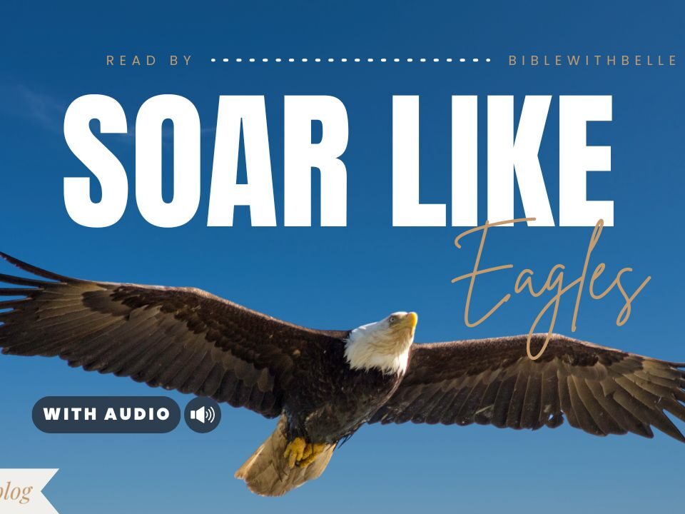 Bible Verses With Eagles