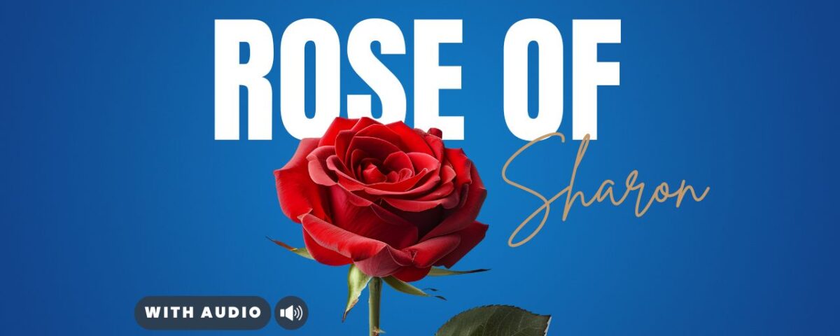 Bible Verses With Roses