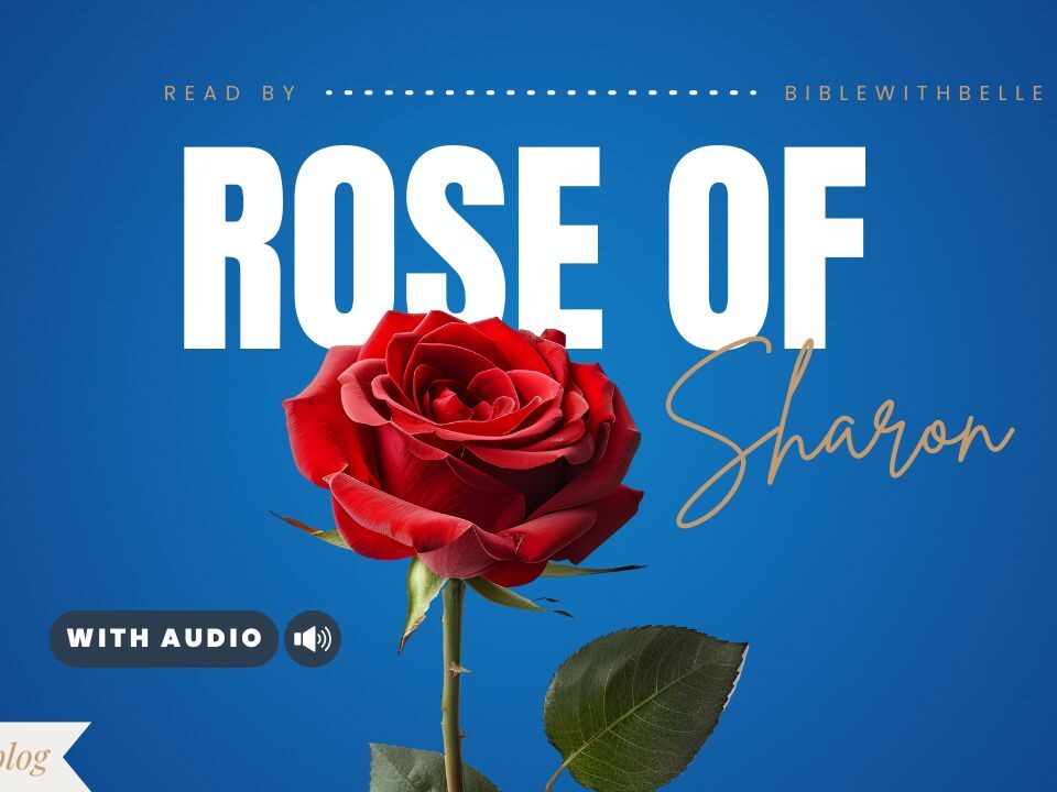 Bible Verses With Roses