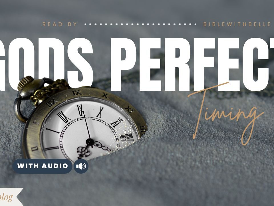 Bible Verses With 222