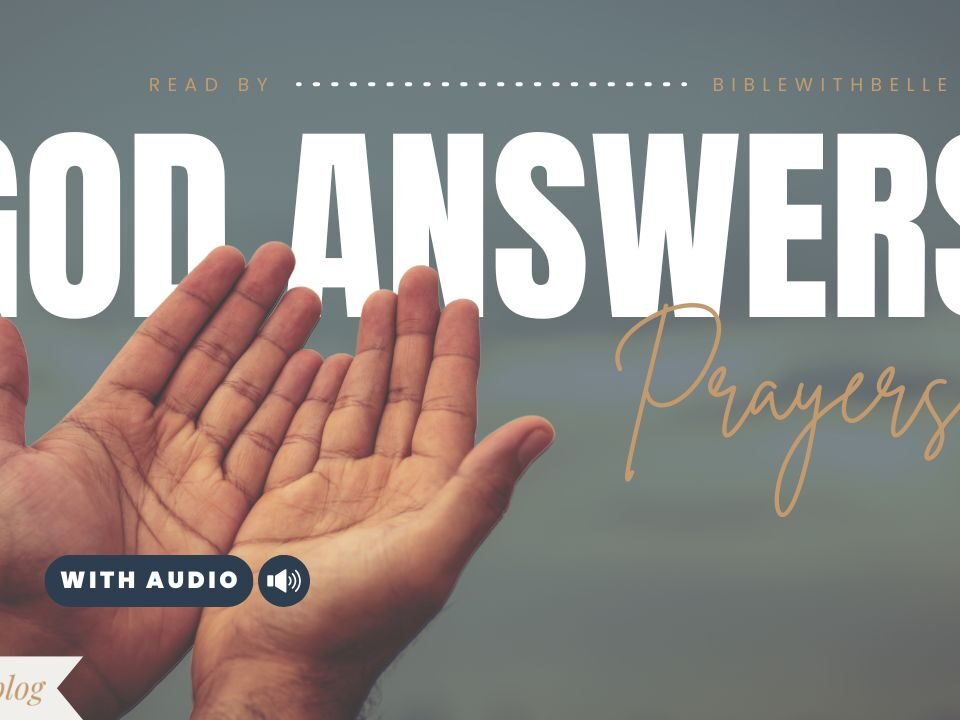 Bible Verses With 333