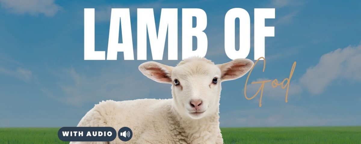 Bible Verses With Lamb