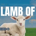 Bible Verses With Lamb