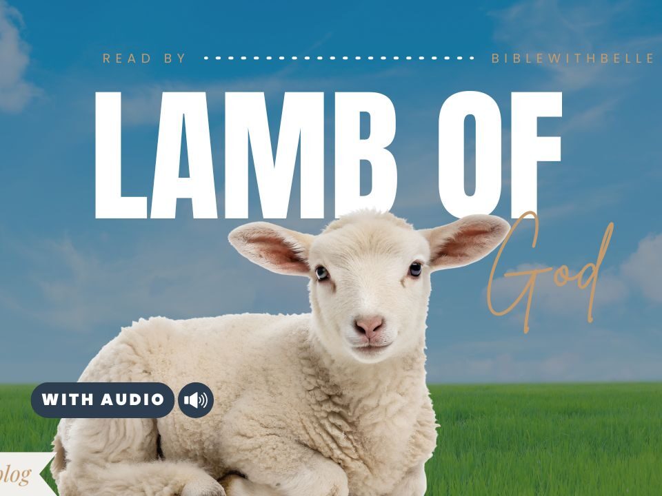 Bible Verses With Lamb