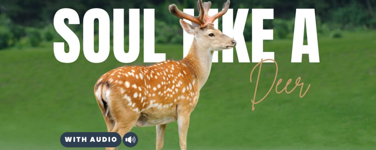 Bible Verses With Deer