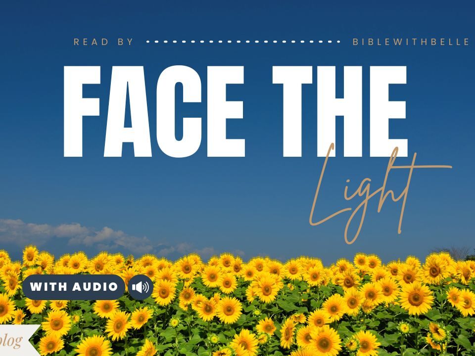 Bible Verses With Sunflowers