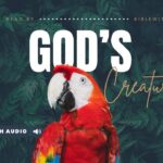 Bible Verses With Animals