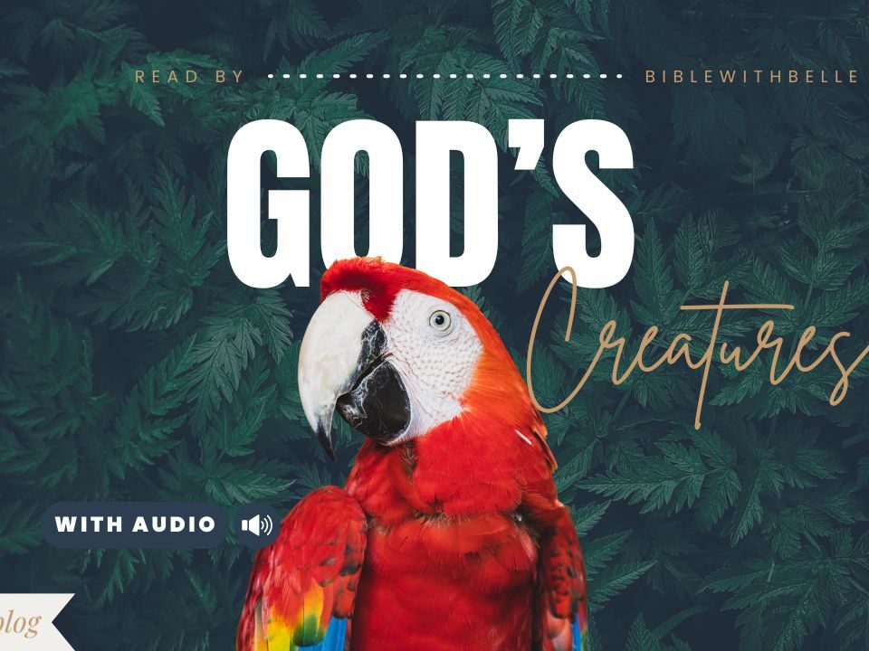 Bible Verses With Animals