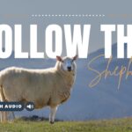 Bible Verses With Sheep