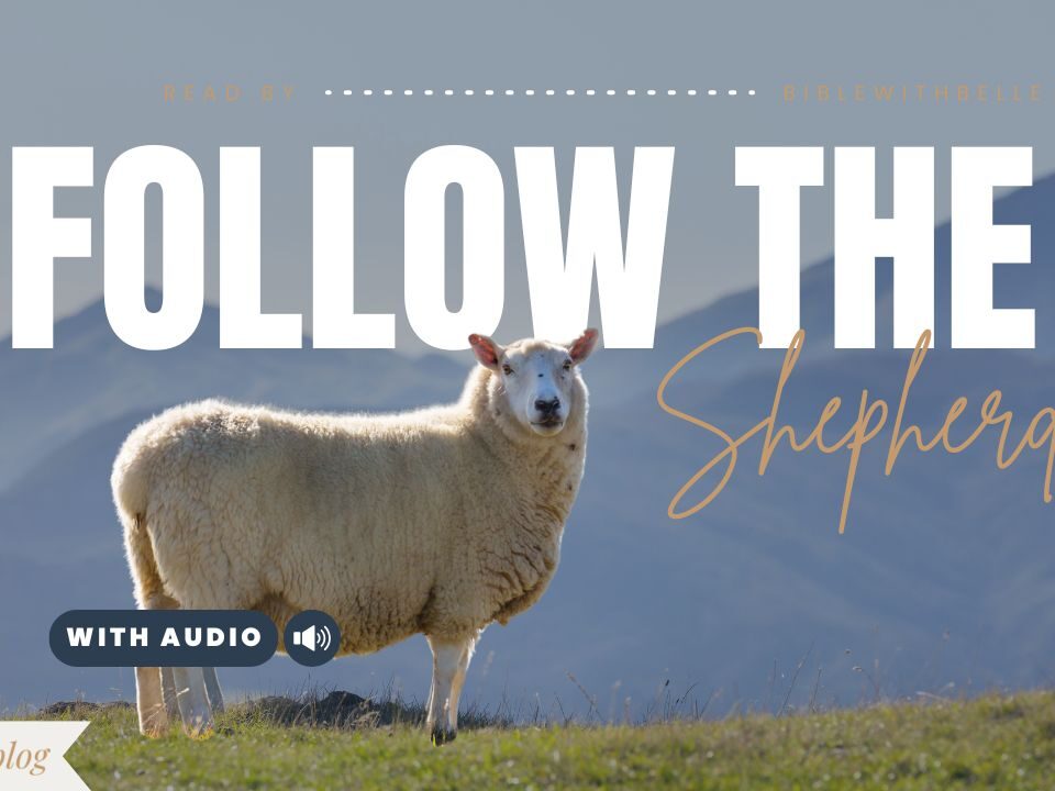 Bible Verses With Sheep