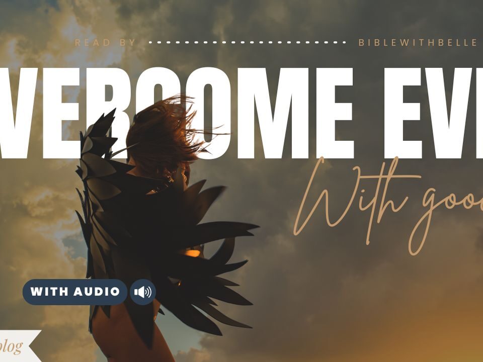 Bible Verses about Revenge