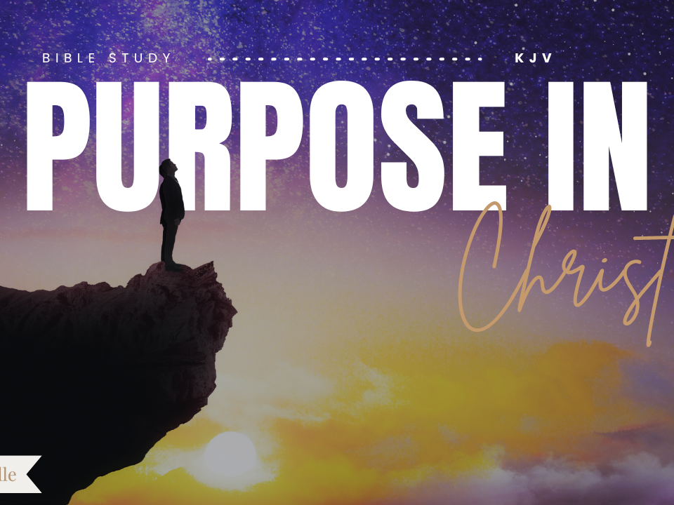 Bible Verses About Purpose