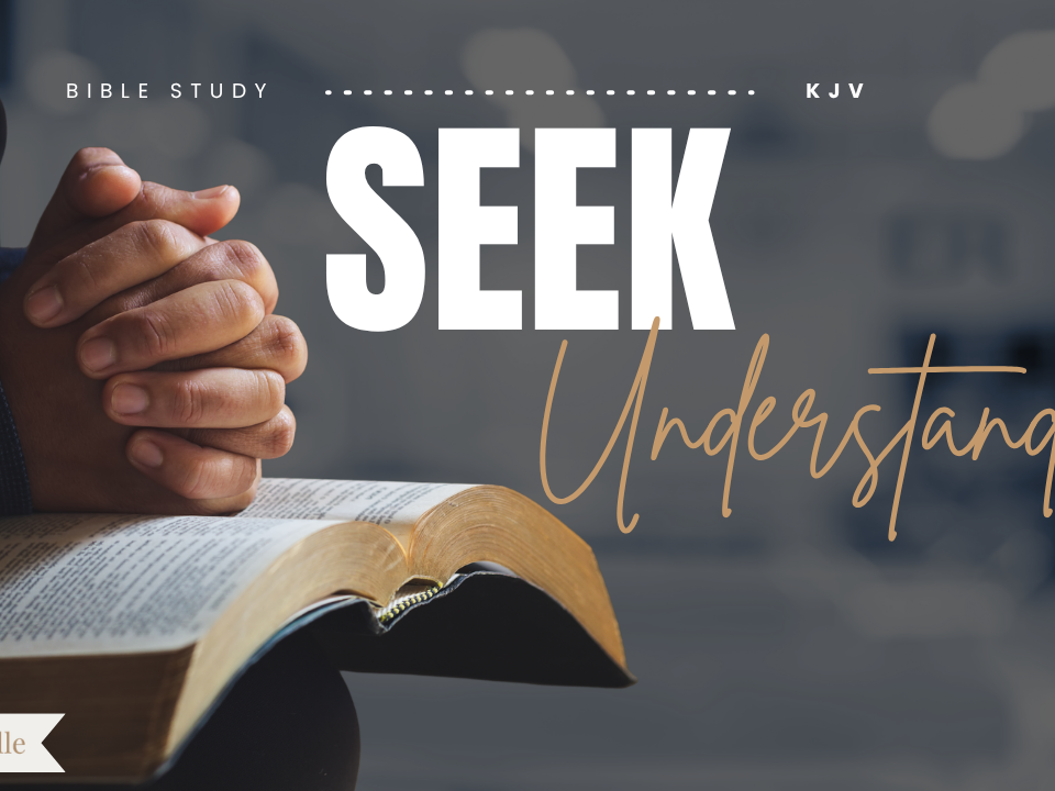 Bible Verses About Understanding
