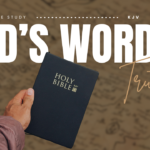 Bible Verses about Truth