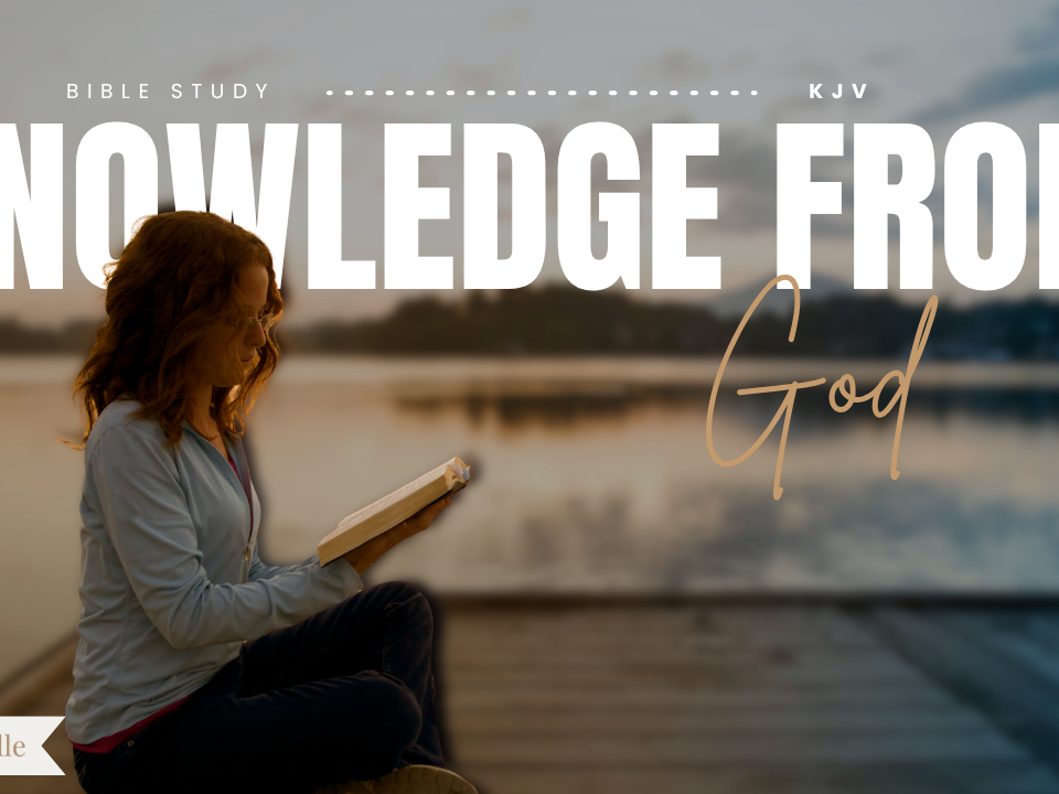Bible Verses about Knowledge