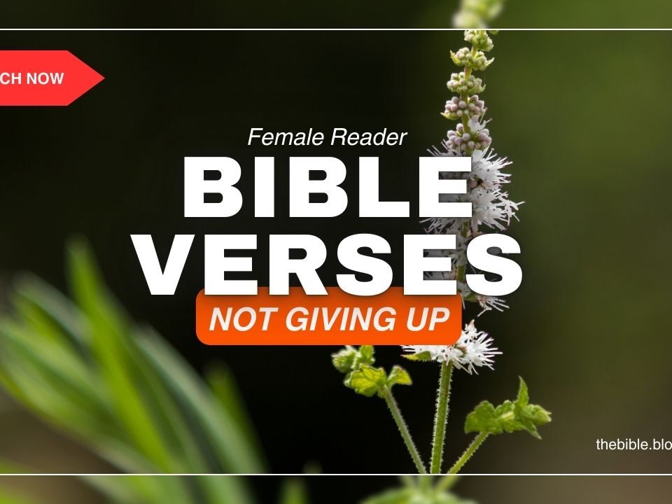 Bible Verses About Not Giving Up – Find Strength in God