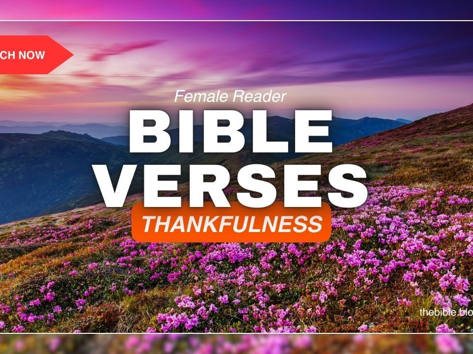 Bible Verses About Thankfulness – Unlock Joy Through Gratitude