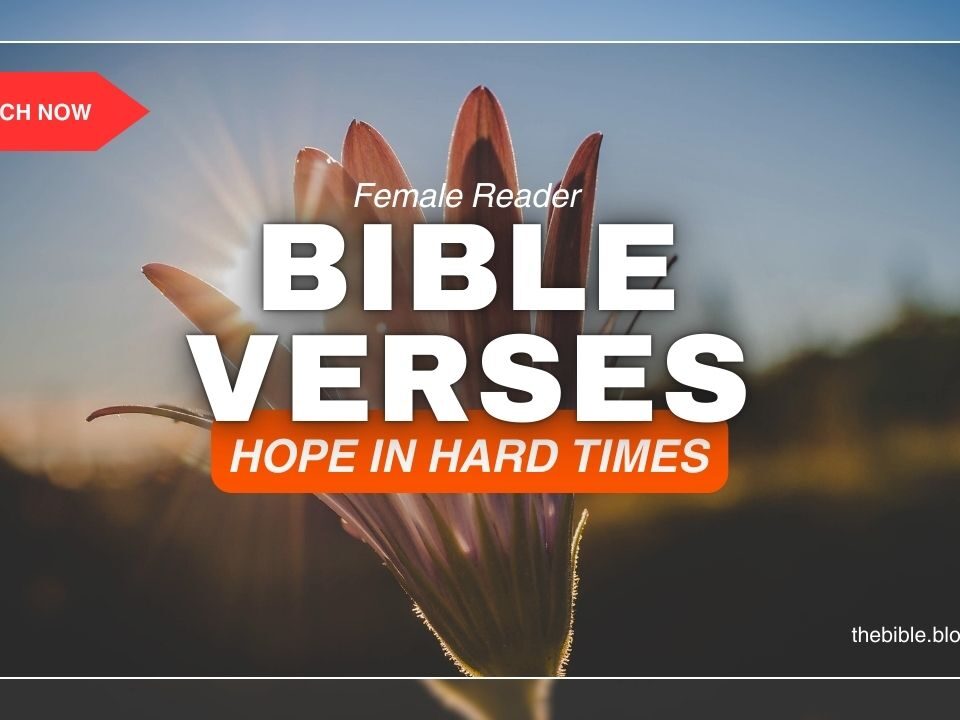 Bible Verses About Hope In Hard Times