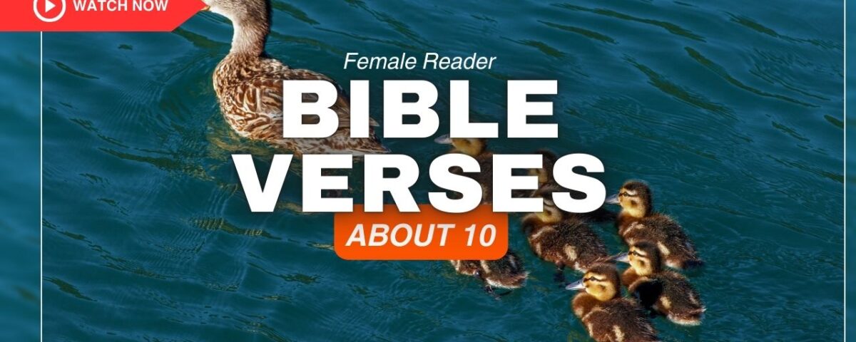 Bible Verses About 10 – Discover Powerful Truths Today