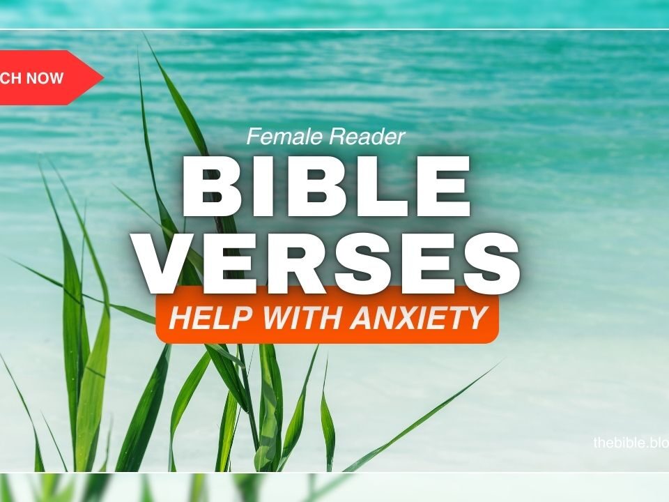 Bible Verses About Help With Anxiety – Discover God’s Peace