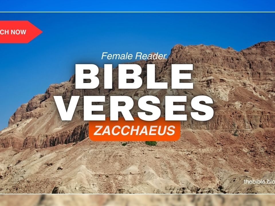 Bible Verses About Zacchaeus – Discover Grace That Transforms