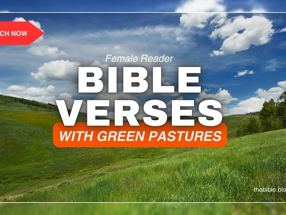 Bible Verses With Green Pastures – Peace in His Presence