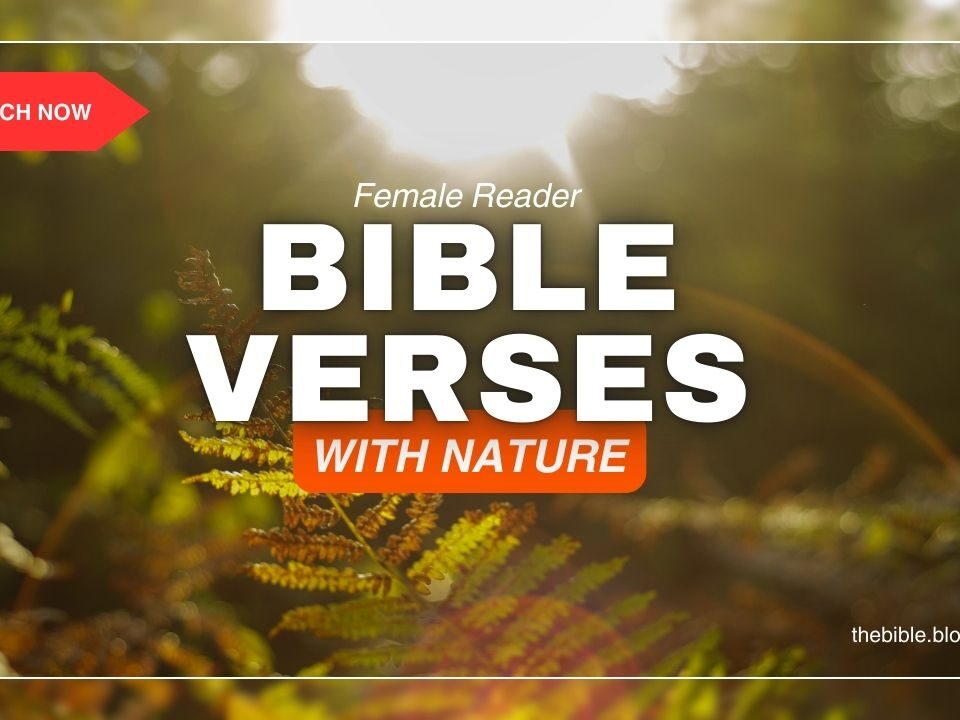 Bible Verses With Nature – Find Strength in God’s Design