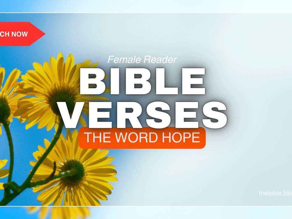 Bible Verses With The Word Hope – Discover Light in Every Verse