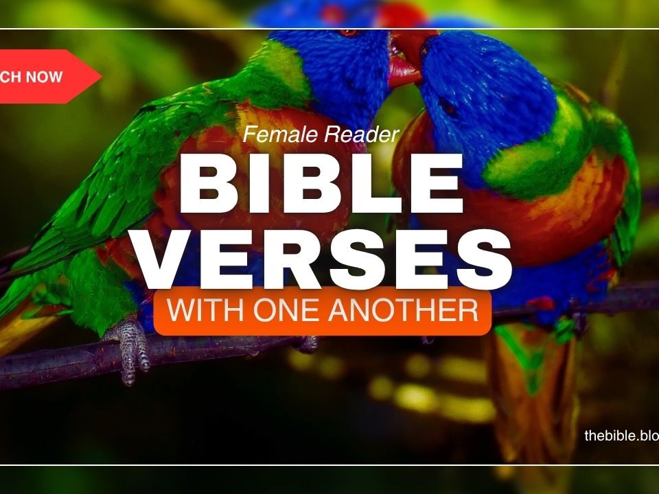Bible Verses With One Another