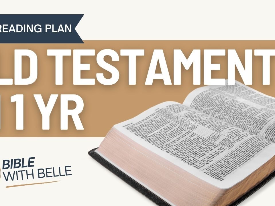 Old Testament In A Year: Bible Reading Plan