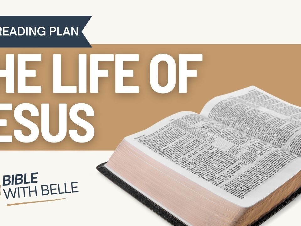 The Life Of Jesus: Bible Reading Plan