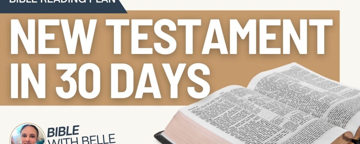 The New Testament in 30 Days: Bible Reading Plan
